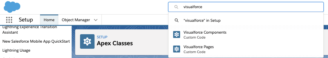 Salesforce VisualForce Page